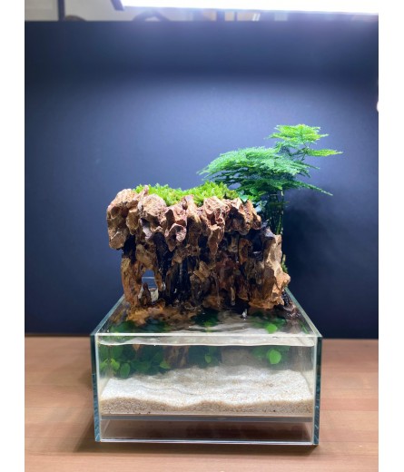 AQUALEISURE SCAPE P012
