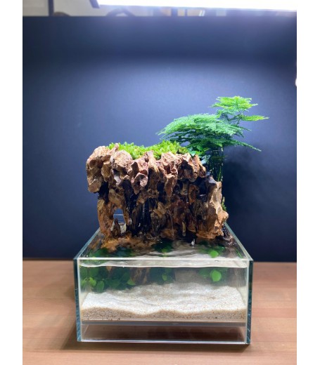 AQUALEISURE SCAPE P012