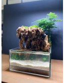 AQUALEISURE SCAPE P012