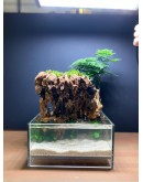 AQUALEISURE SCAPE P012