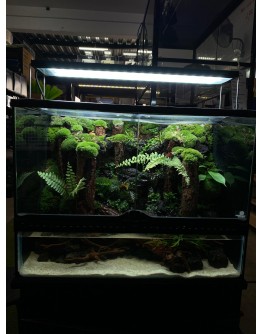 AQUALEISURE SCAPE P015