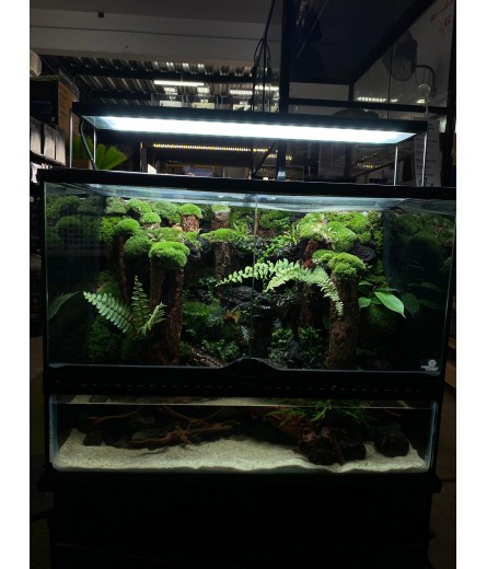 AQUALEISURE SCAPE P015