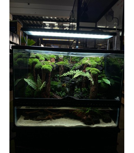 AQUALEISURE SCAPE P015
