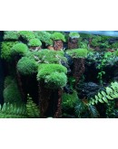 AQUALEISURE SCAPE P015