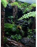 AQUALEISURE SCAPE P015