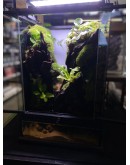 AQUALEISURE SCAPE P016