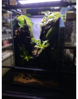 AQUALEISURE SCAPE P016