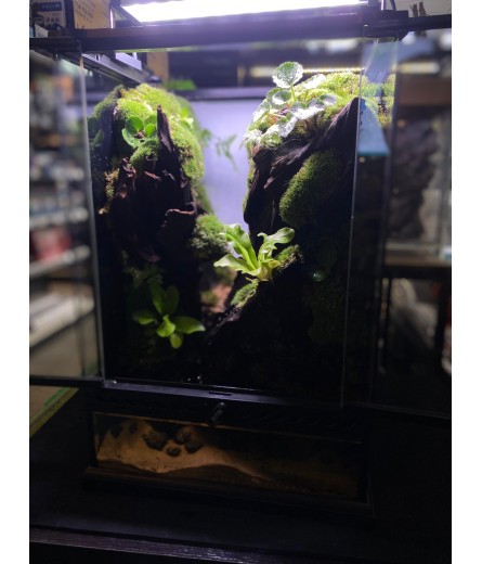 AQUALEISURE SCAPE P016
