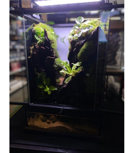 AQUALEISURE SCAPE P016