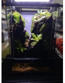 AQUALEISURE SCAPE P016