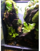AQUALEISURE SCAPE P016