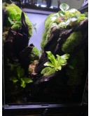 AQUALEISURE SCAPE P016