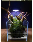 AQUALEISURE SCAPE P017