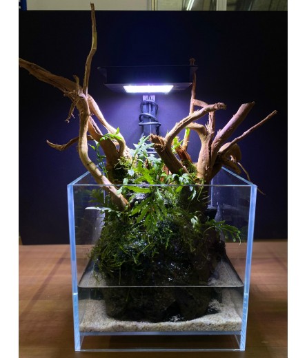 AQUALEISURE SCAPE P017