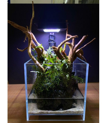 AQUALEISURE SCAPE P017