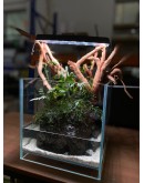 AQUALEISURE SCAPE P017