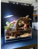 AQUALEISURE SCAPE P019