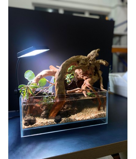 AQUALEISURE SCAPE P019