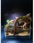 AQUALEISURE SCAPE P019