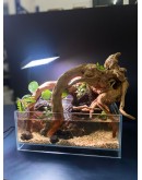 AQUALEISURE SCAPE P019