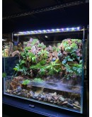AQUALEISURE SCAPE P020