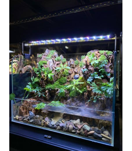 AQUALEISURE SCAPE P020