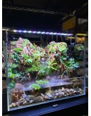 AQUALEISURE SCAPE P020
