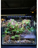 AQUALEISURE SCAPE P020