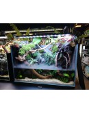 AQUALEISURE SCAPE P021