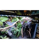 AQUALEISURE SCAPE P021