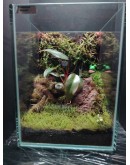 AQUALEISURE SCAPE  T005