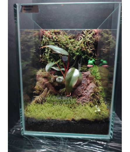 AQUALEISURE SCAPE  T005