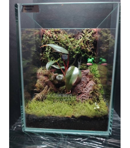 AQUALEISURE SCAPE  T005