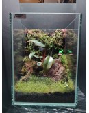 AQUALEISURE SCAPE  T005