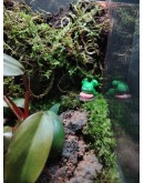 AQUALEISURE SCAPE  T005