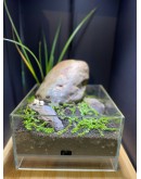 AQUALEISURE SCAPE  T006