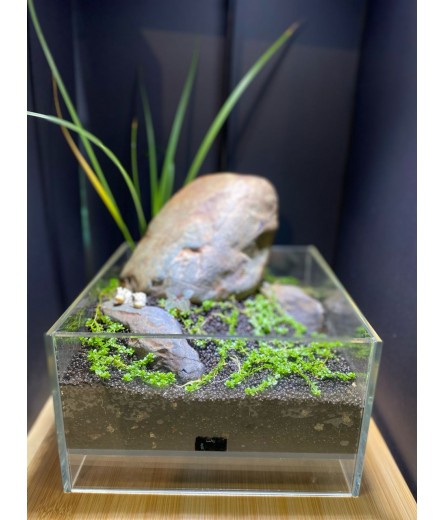 AQUALEISURE SCAPE  T006