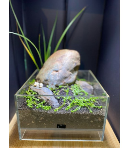 AQUALEISURE SCAPE  T006