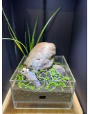 AQUALEISURE SCAPE  T006