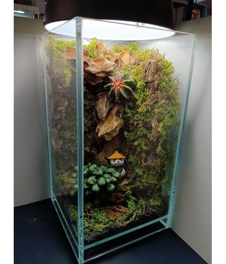 AQUALEISURE SCAPE  T007