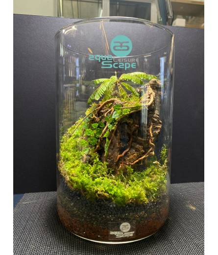 AQUALEISURE SCAPE  T008