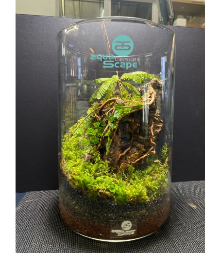 AQUALEISURE SCAPE  T008