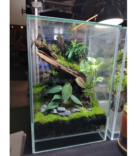 AQUALEISURE SCAPE  T009