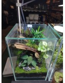 AQUALEISURE SCAPE  T009