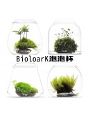 AQUALEISURE SCAPE  T004