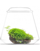 AQUALEISURE SCAPE  T002