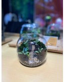 AQUALEISURE SCAPE  T003